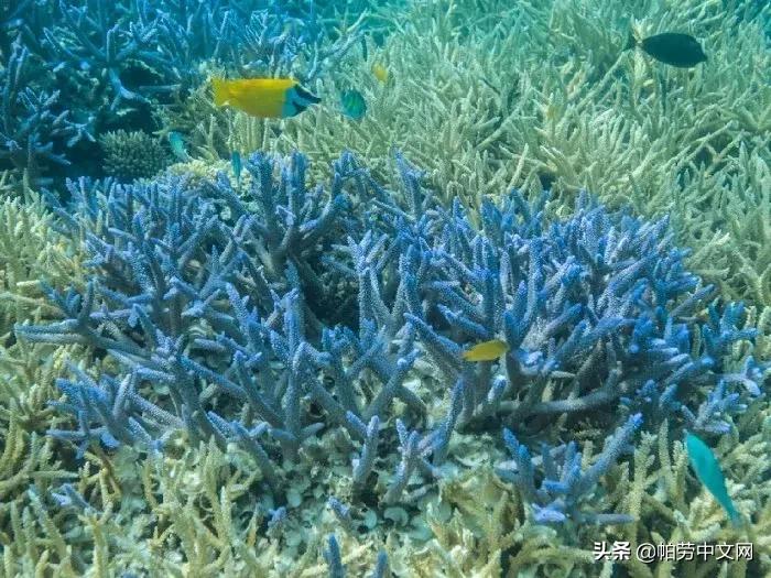 还没有被发现的岛屿,又挖到5个福建的小众绝美海岛