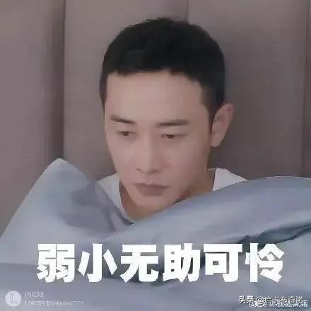 安心家政保洁培训,安心家族