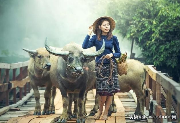 男凹女凸不寡就孤如何解释,生相男凹女凸什么意思