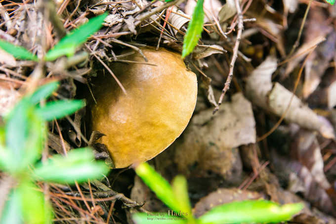 朝天三天旅游攻略,朝天区旅游攻略自驾游