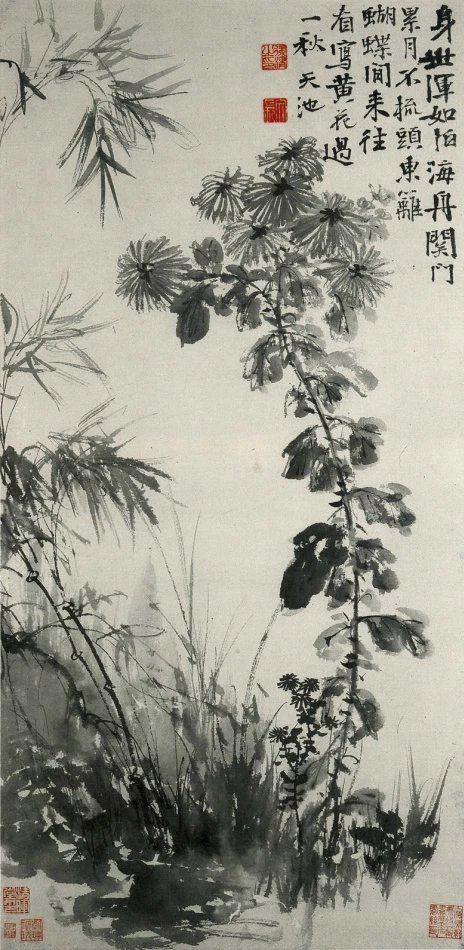 画菊名家菊花图集,画家画菊花作品欣赏