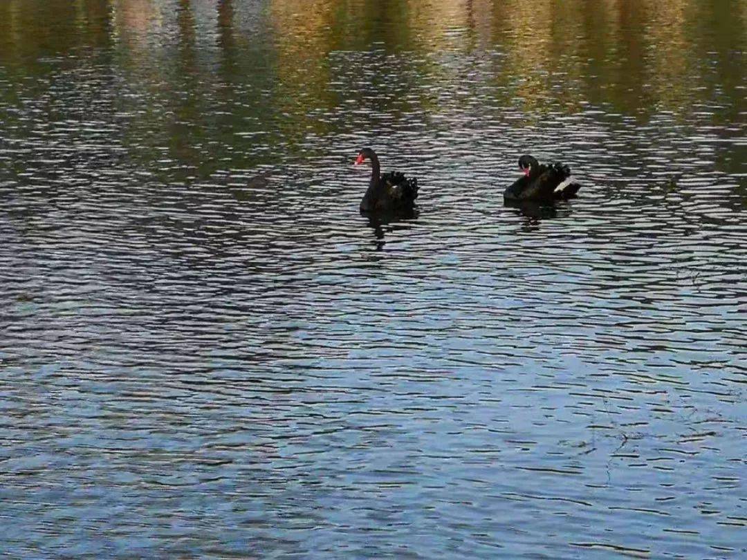 哈尔滨各高校特点搞笑版,搞笑大学学校名称