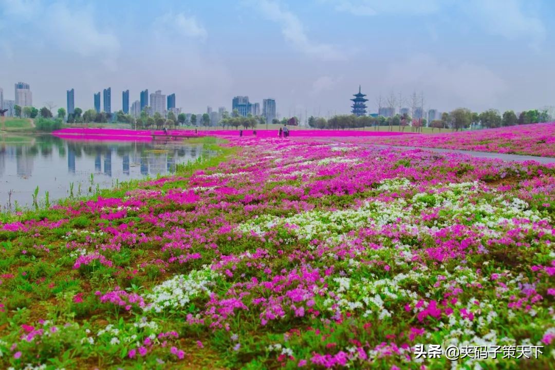 长沙新开的公园,长沙老城区公园