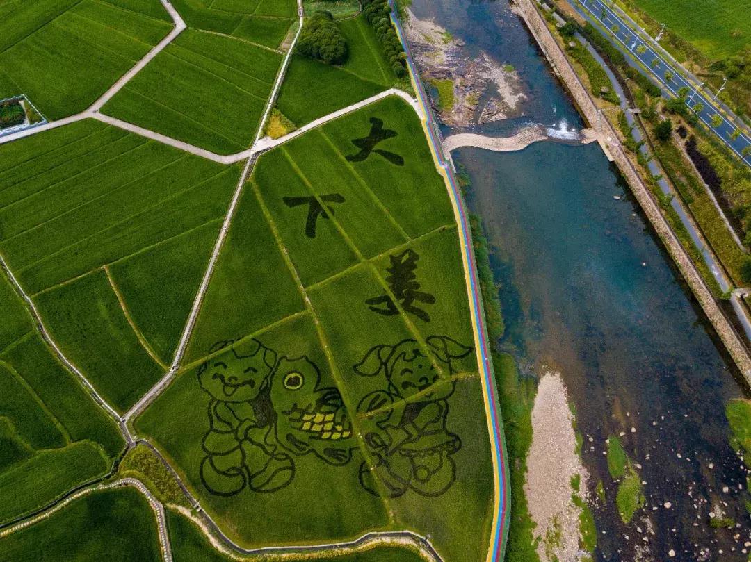 震撼！钱塘江畔出现巨型画作，有28个足球场这么大！