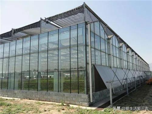 最适合的农村小本创业的4种项目,推荐6个适合在农村创业的好项目