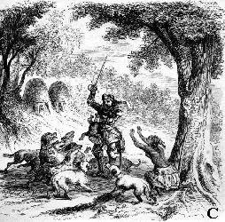 危险分子猛犬暴徒—加纳利，请你低调