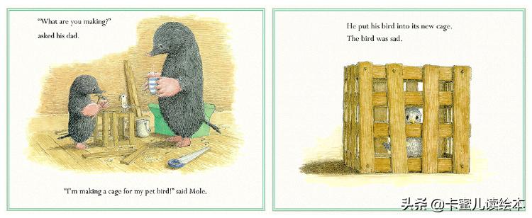 英文绘本动画故事完整版,英语绘本鼹鼠和小鸟