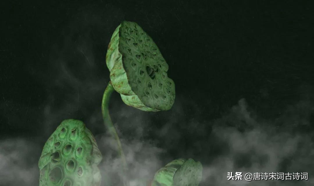 他是*国亡**之君，又是词坛帝王