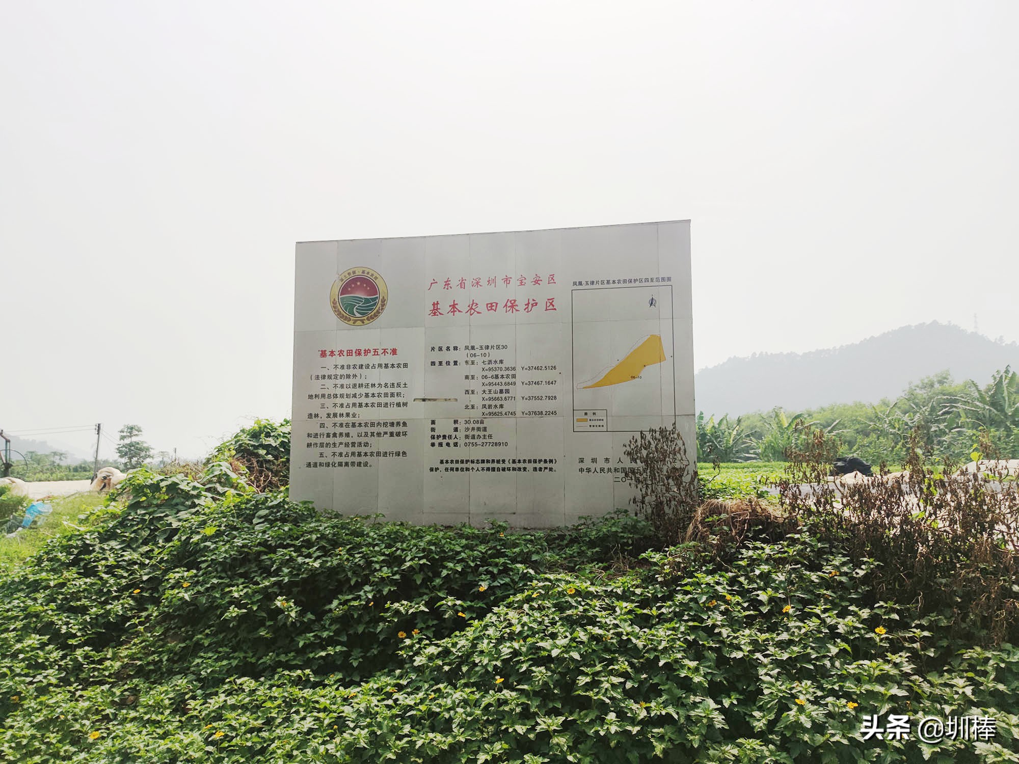 深圳最长的海岸线爬山攻略,凤凰山适合老人孩子的爬山攻略