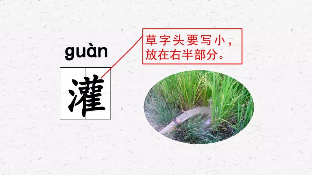 部编版六年级语文下册腊八粥预习,六年级下册语文腊八粥小练笔100字