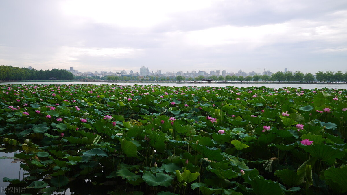 河南省5a景区免门票,北京5a景区门票