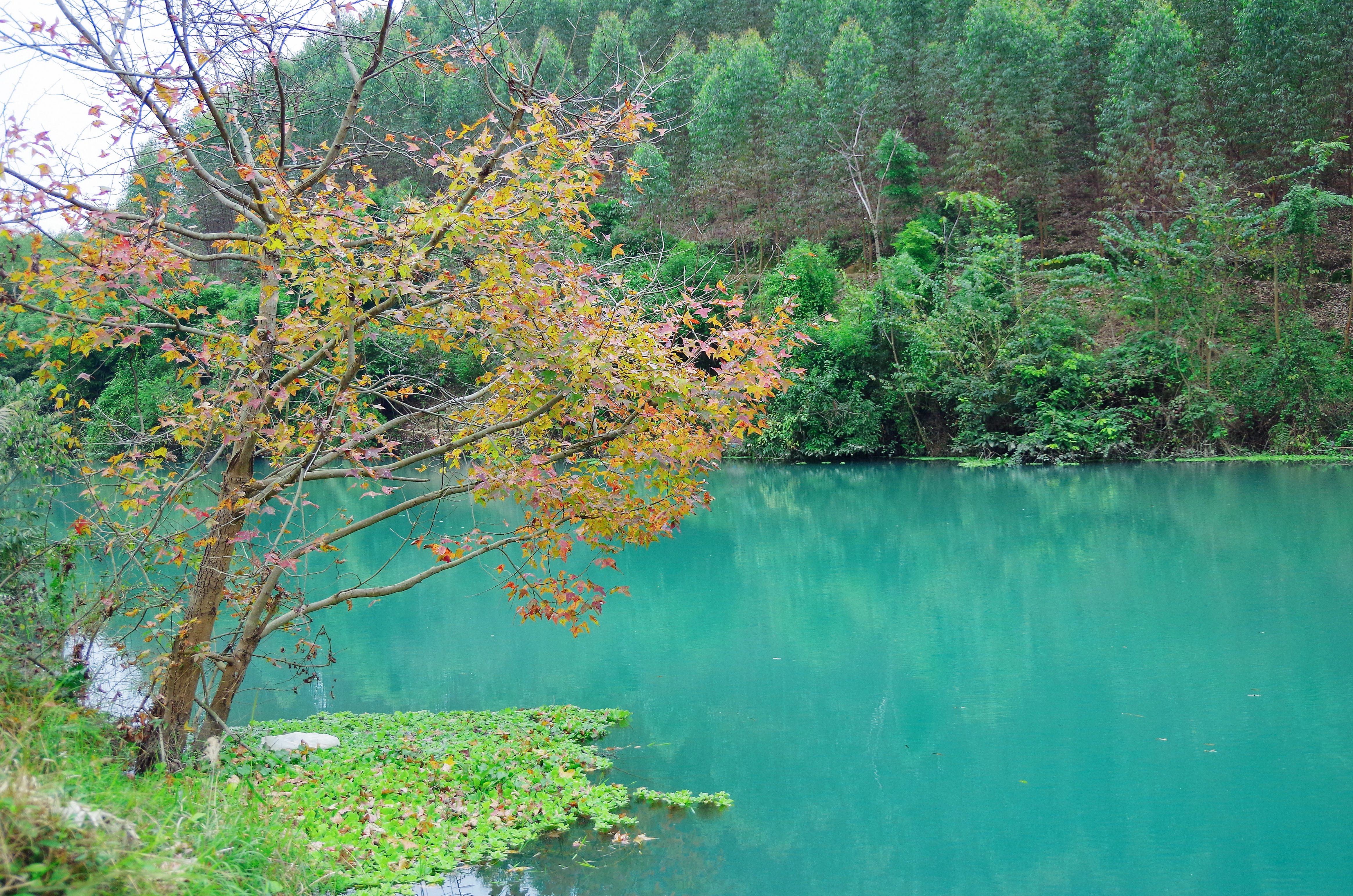 柳州三江小七孔,柳州版小七孔