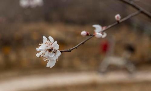 真正的成功都是厚积薄发,人生需要储备厚积薄发的力量