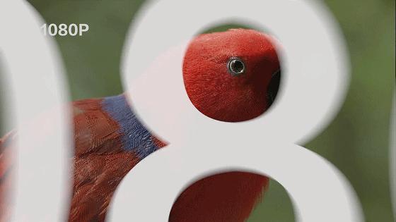 广电4k超清智能机顶盒,天津广电网络4k机顶盒