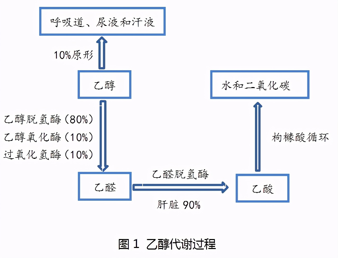 服用头孢后避免饮酒多长时间为宜,头孢后多久可以喝奶加益生菌