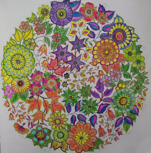 秘密花园涂色步骤教程,秘密花园涂色作品全集图片