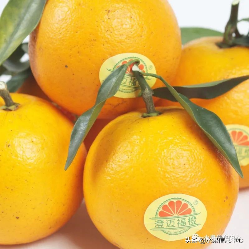 海南水果都有哪些品种图片及名称,海南水果上市时间表赶快收藏吧