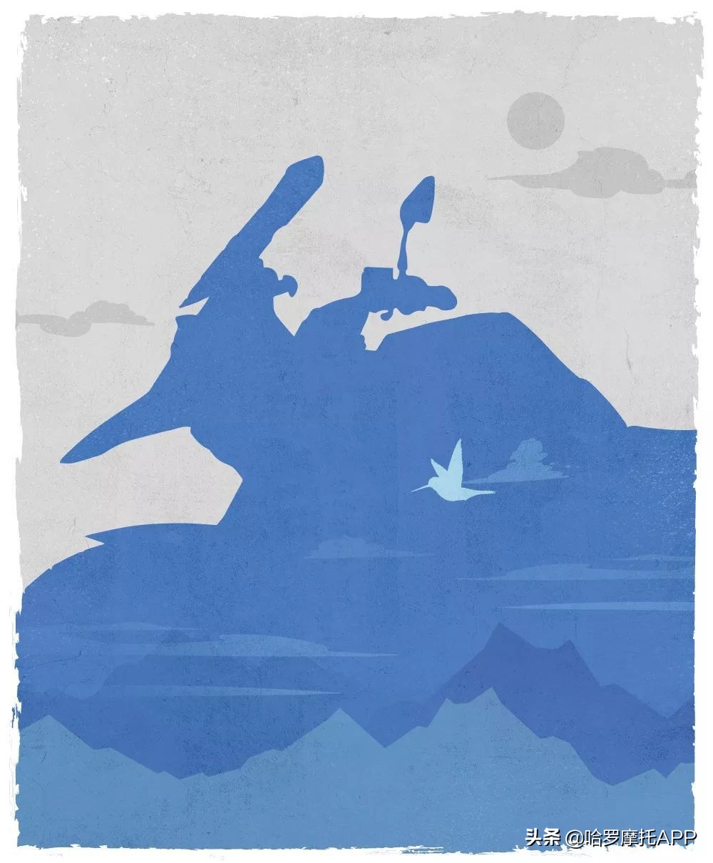 宝马全新水鸟1250adv落地价,宝马水鸟r落地价