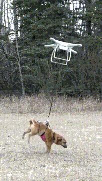 打麻将搞笑gif图片大全,打麻将三缺一的搞笑图片