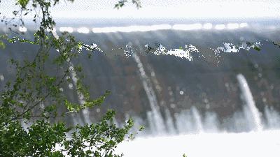 巴慕达风扇扇叶,巴慕达中国版多少钱