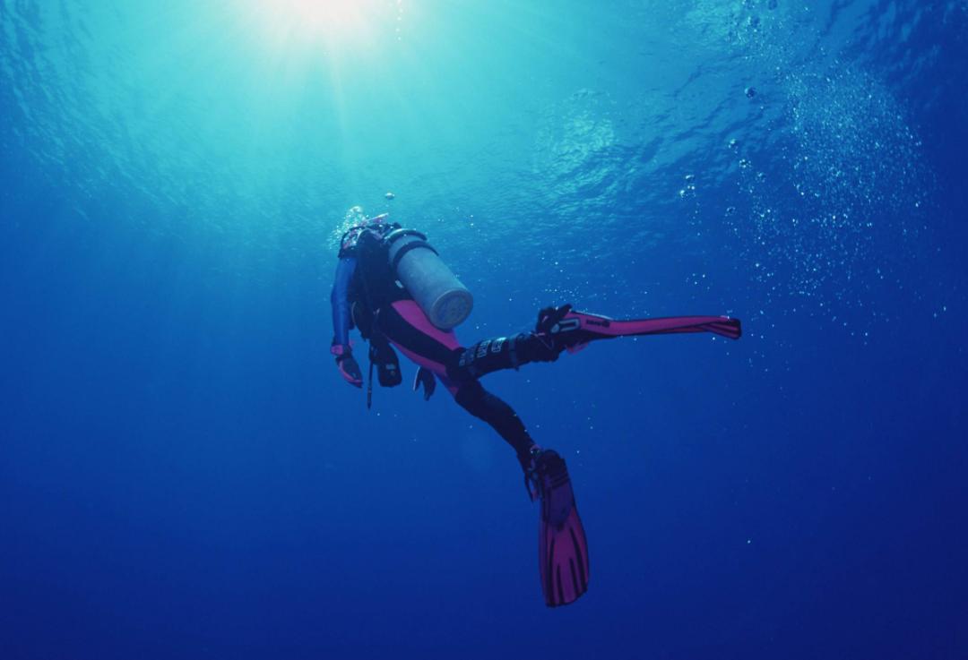 你是否也在等待歌名,你是否也在等待