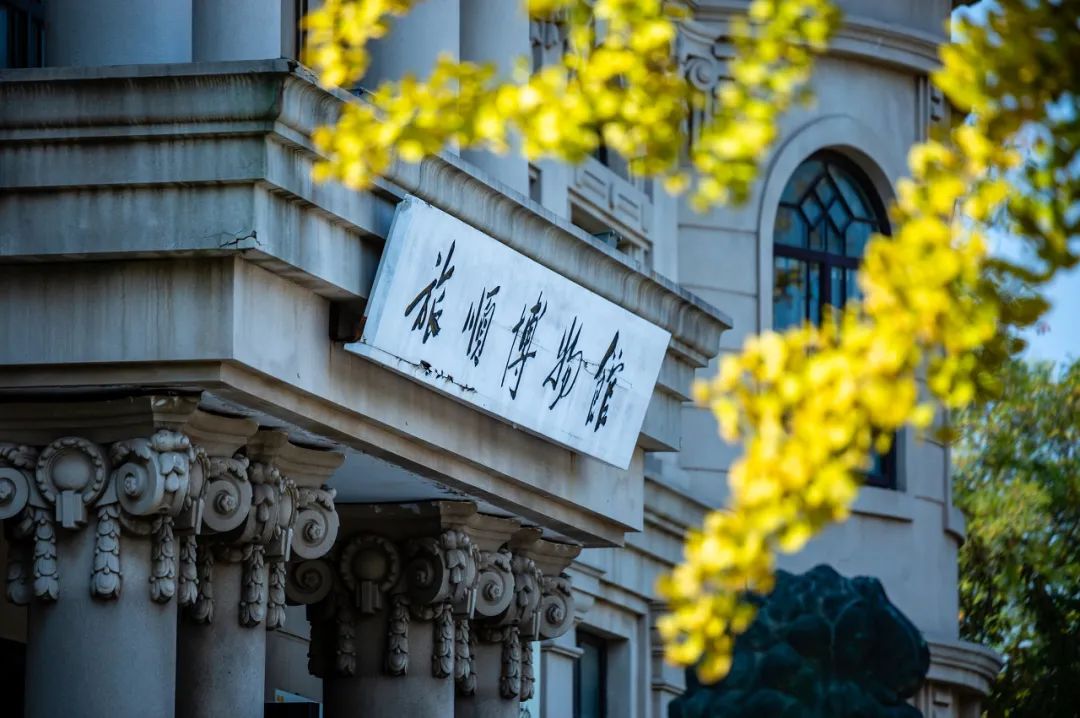 这些特大城市里，这个北方海边城市真的挺“大”