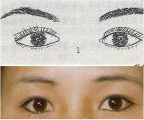 对照下你是哪种漂亮的眼型,如何区分自己的眼型