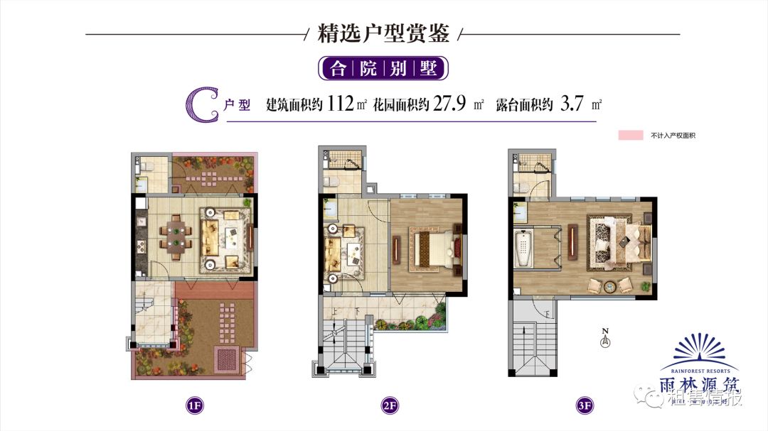 普洱茶分布在西双版纳,为什么西双版纳茶叶要叫普洱茶