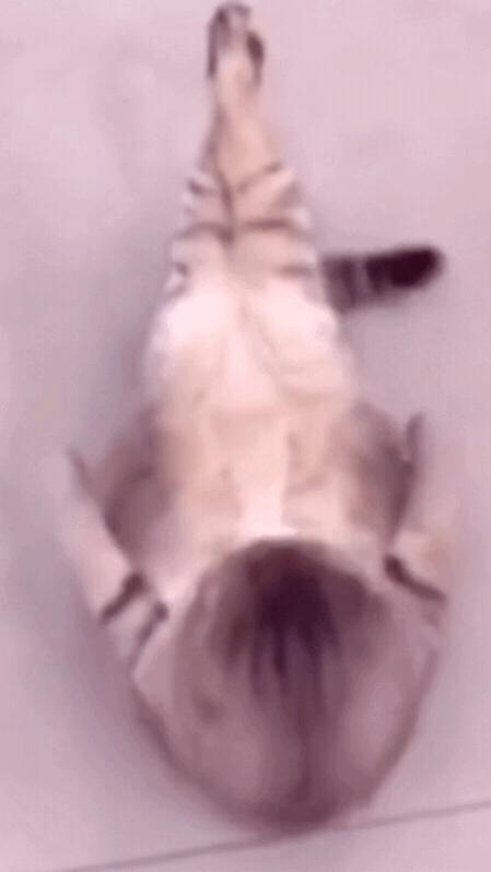 搞笑GIF:女朋友问我是什么，我说是洗衣粉，她怎么把我拉黑了？