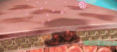 脸暗黄有斑用什么牌子面霜好,长斑皮肤用什么牌子的面霜好