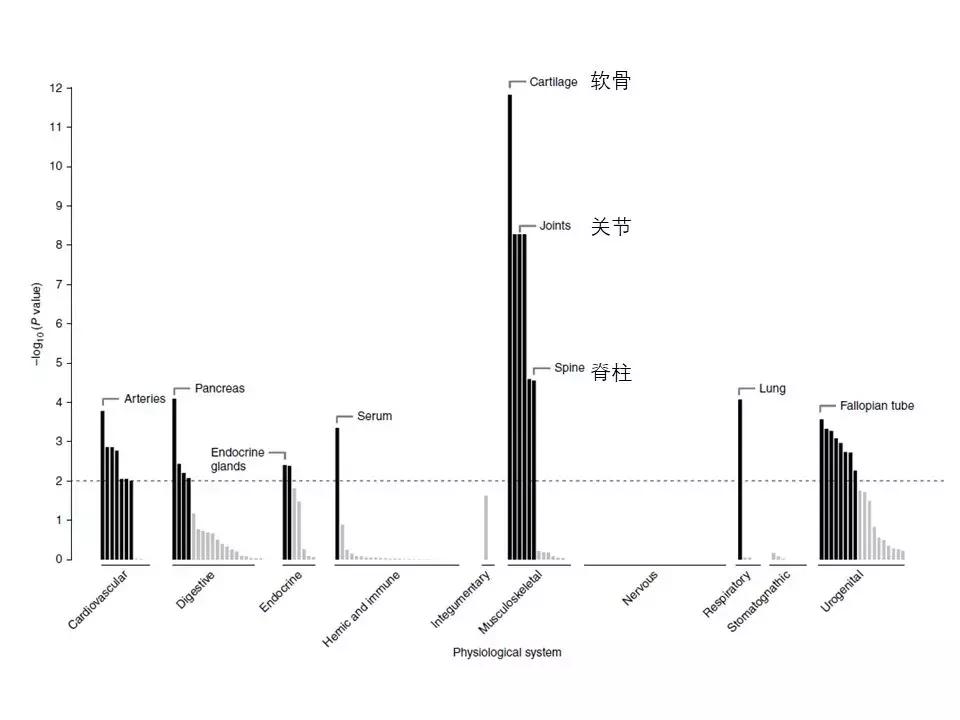 身高的秘密绘本,身高的秘密故事