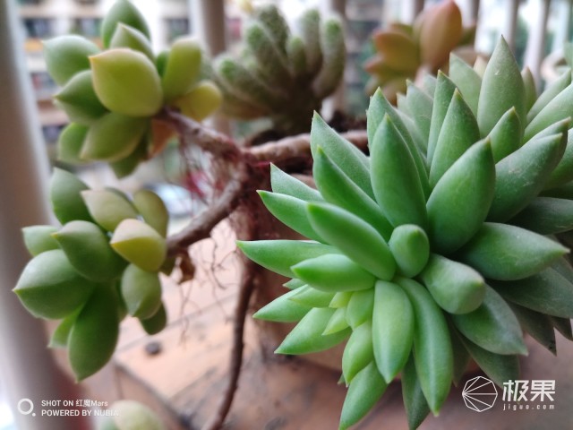 努比亚红魔mars电竞手机,努比亚红魔mars玩王者光荣怎么样