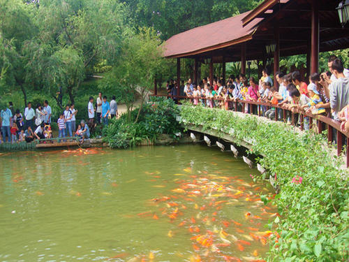 深圳10大著名旅游景点排名表,深圳三个旅游景点