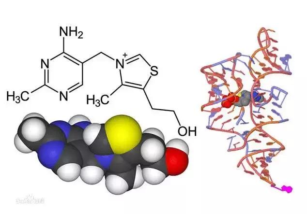 人类至今向外星人传递了多少信息？都是什么内容？