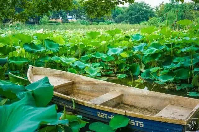 武汉21个免费景点,武汉43个免费景点出炉