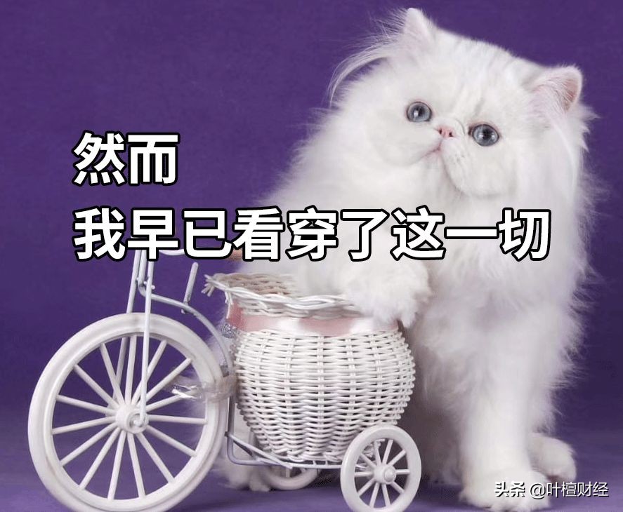 银行里的怪事有哪些,怪事背后有真相