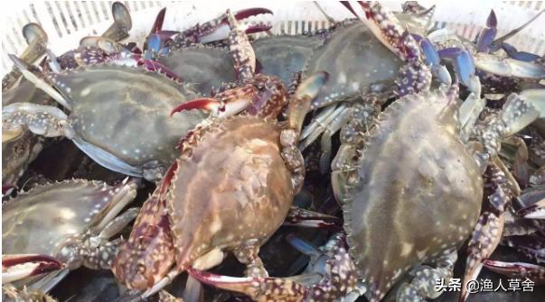 烟台十大农产品,烟台具有特点的农产品