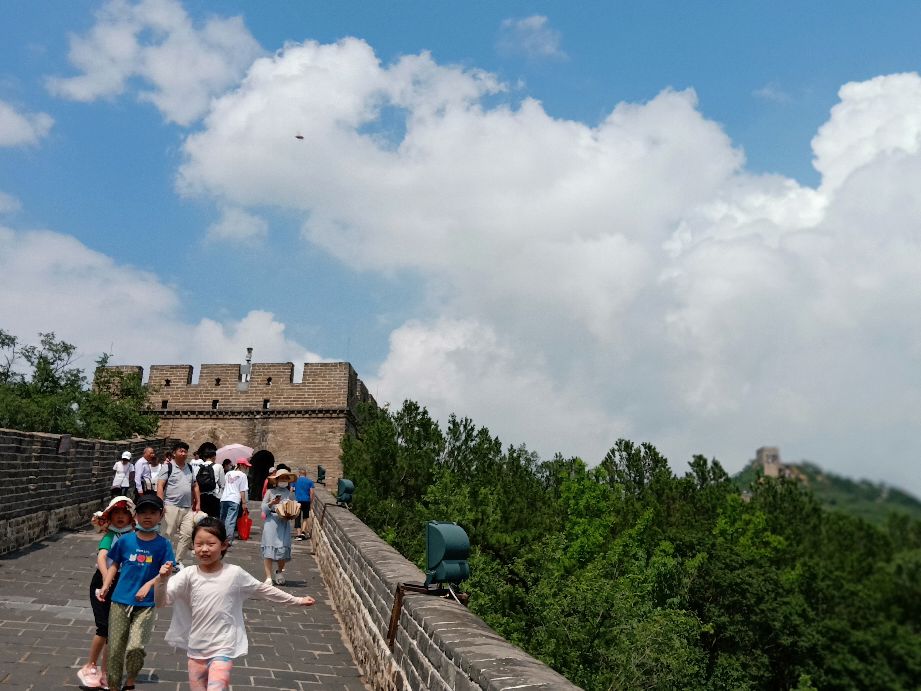 几百人参加考试，年龄最大的达侠考科目一是怎么一次性通过的？