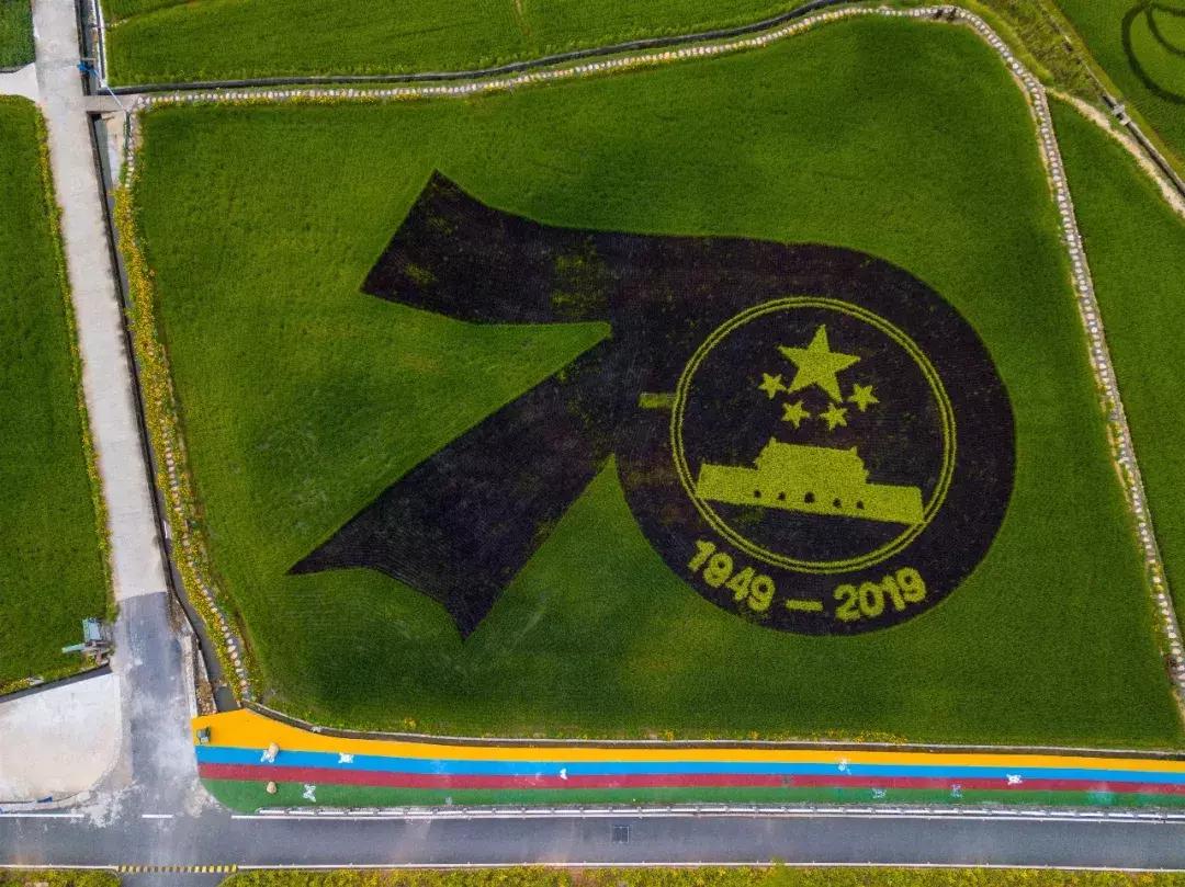 震撼！钱塘江畔出现巨型画作，有28个足球场这么大！