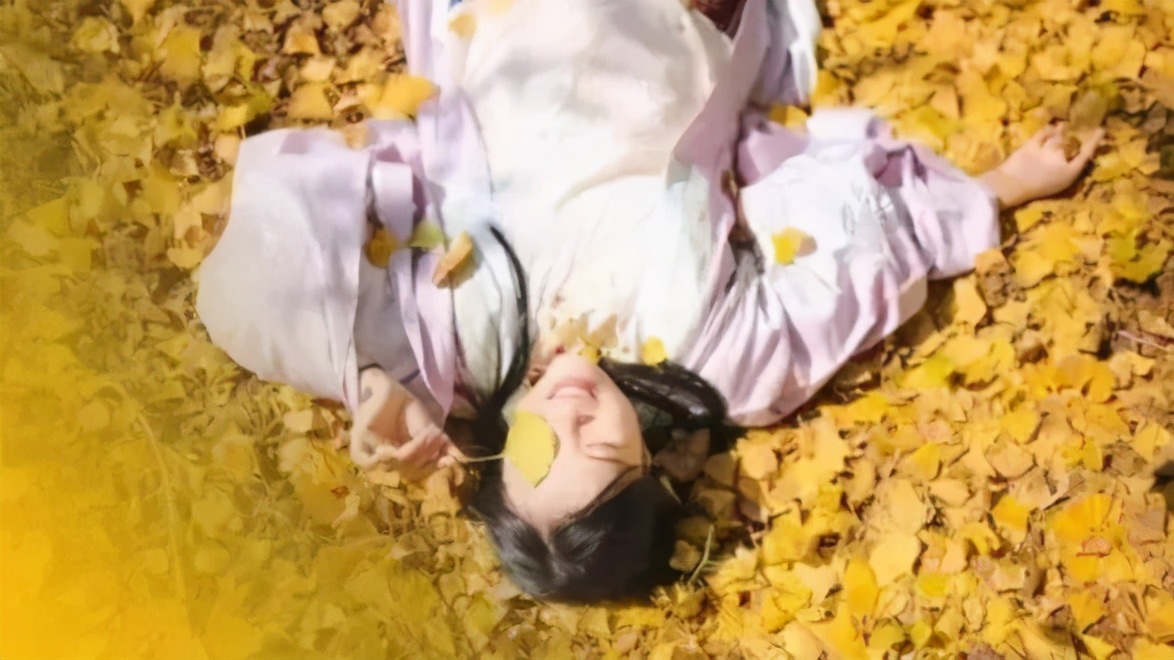 秦宫站到汉阳陵景区直通车,去汉阳陵免费直通车