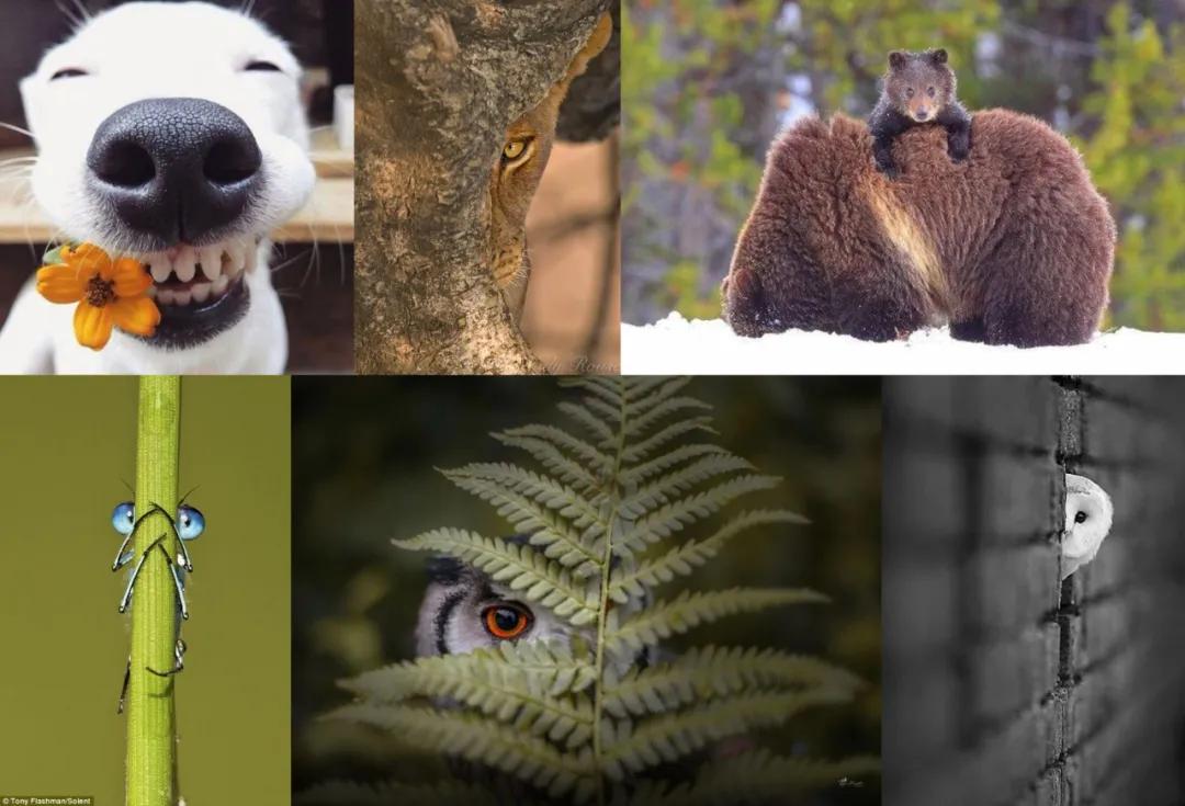 保姆式讲解一张图片做一个logo