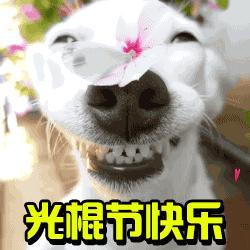 光棍节图片朋友圈配图,光棍节搞笑图片大图