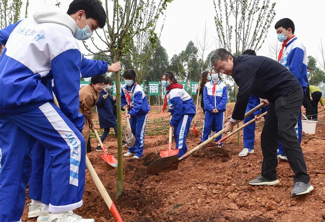 鏂板尯鍩庡競妫灄,鏂板尯涓囦憨妫灄浠嬬粛