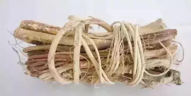 广东人用来煲汤的一种植物,广东煲汤料有哪些植物