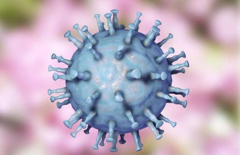 非洲猪瘟疫情分析，及预防思路！