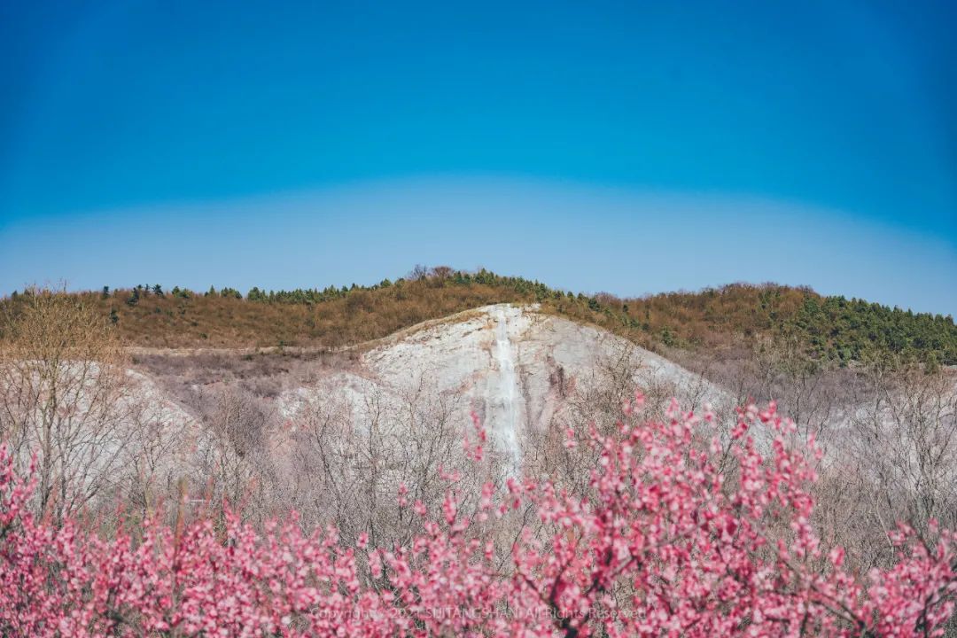 南京赏梅花的绝佳位置,南京赏梅花的最佳地方