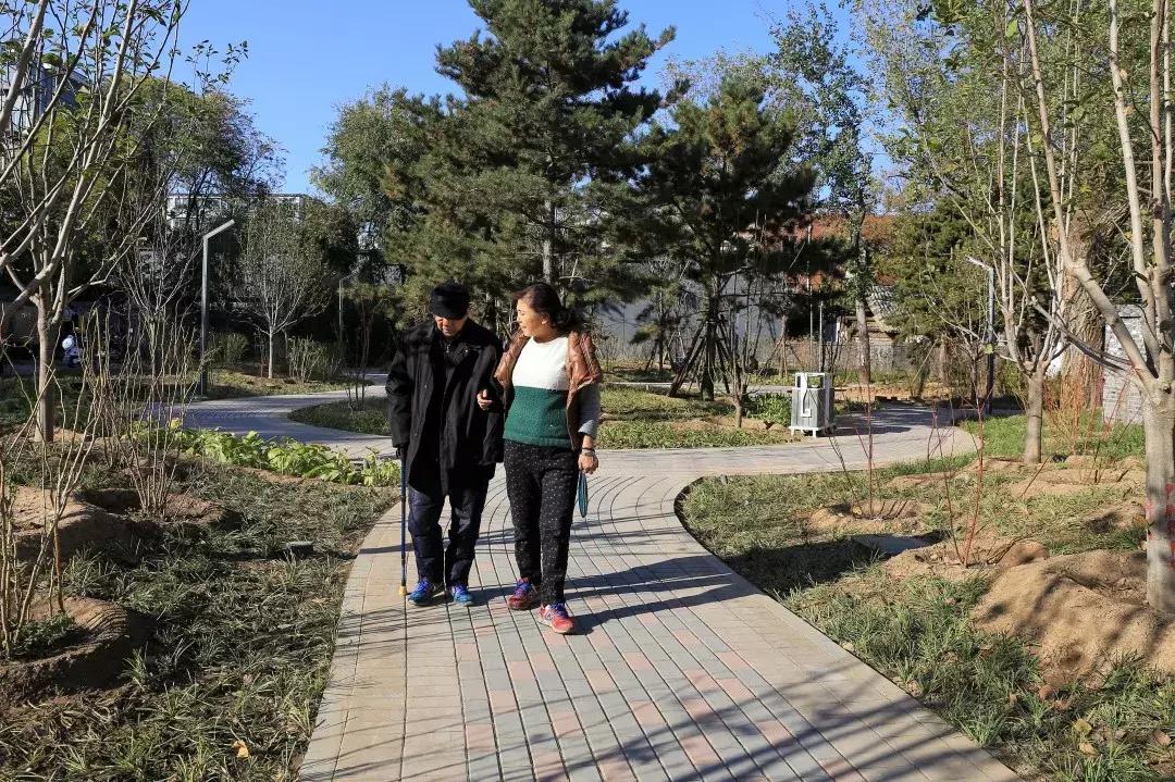 西城新建口袋公园,打造口袋公园绿地