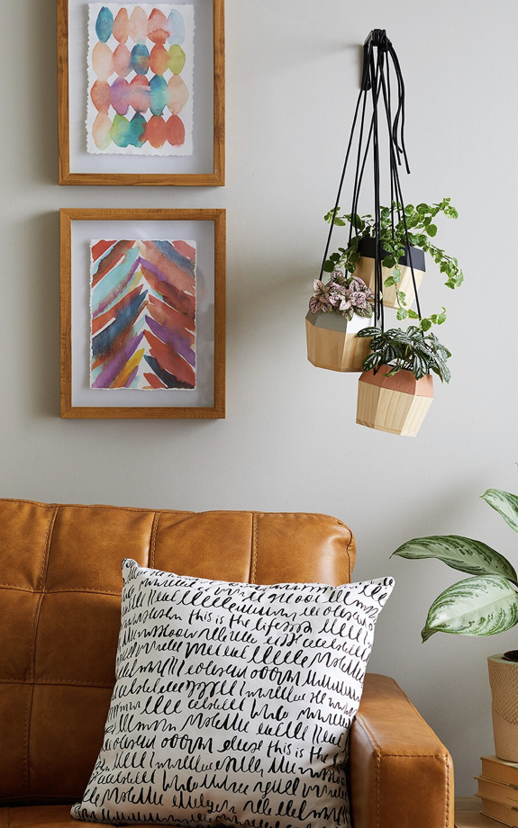 悬挂植物,好看独特的植物装饰