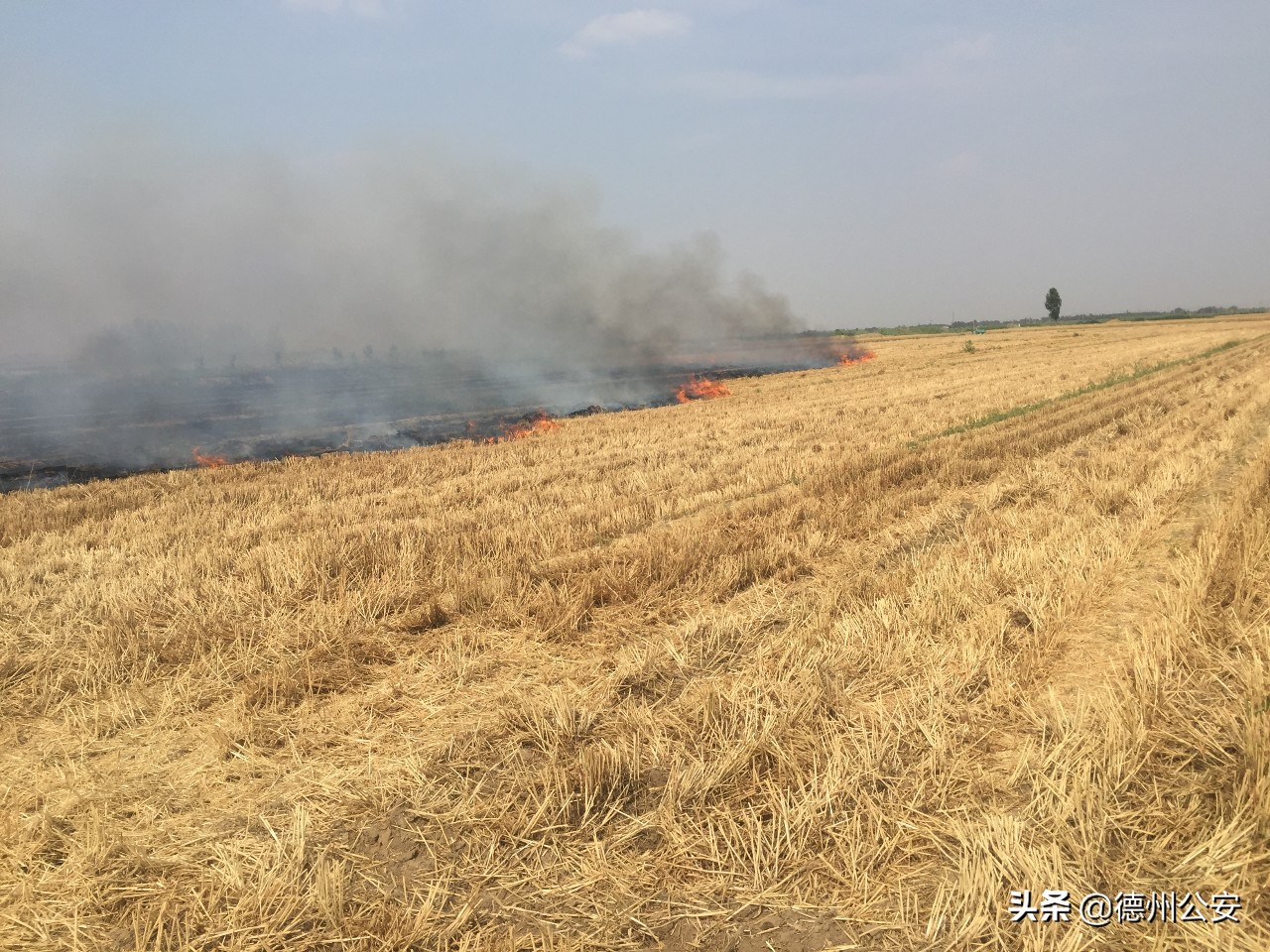 触目惊心！德州多地麦田发生火灾，收割机被烧成黑炭......