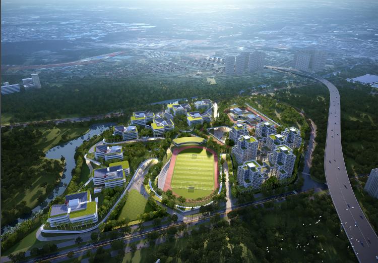 2024深圳高中扩招最新政策,2020年深圳8大高中